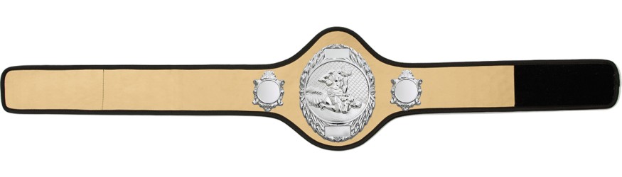MMA CHAMPIONSHIP BELT-PRO286/S/MMAS-10+ COLOURS